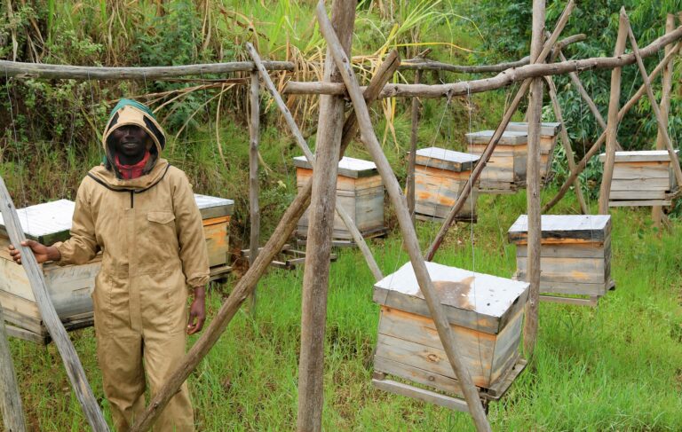 Transforming Beekeeping through gender action